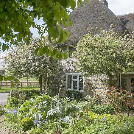 Tudor Cottage B&B Frampton 도체스터도싯 외부 사진