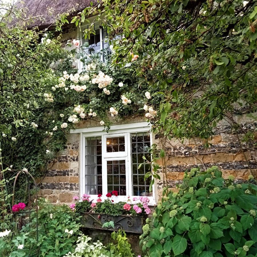Tudor Cottage B&B Frampton 도체스터도싯 외부 사진