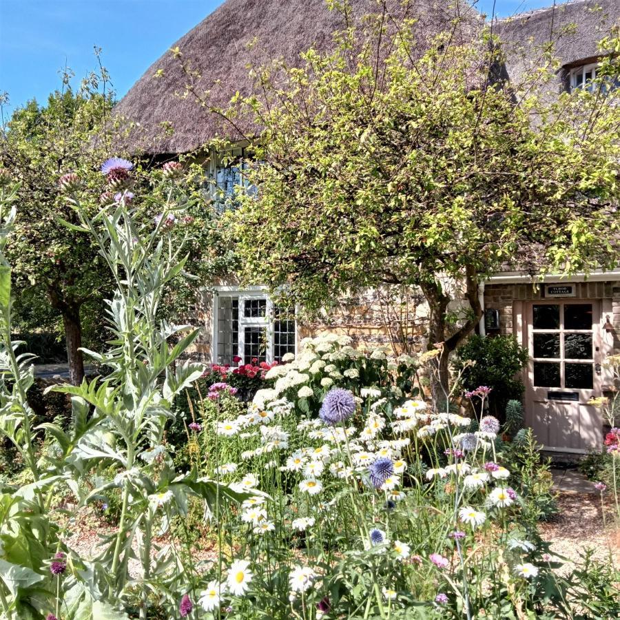 Tudor Cottage B&B Frampton 도체스터도싯 외부 사진