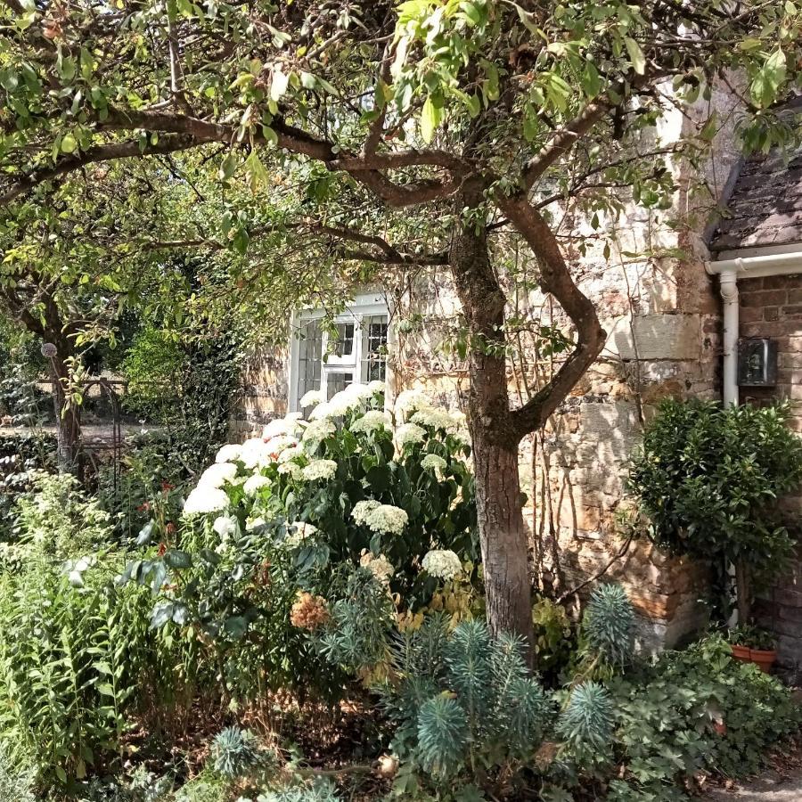 Tudor Cottage B&B Frampton 도체스터도싯 외부 사진