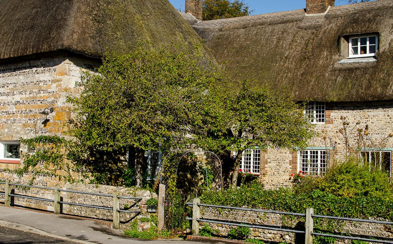 Tudor Cottage B&B Frampton 도체스터도싯 외부 사진