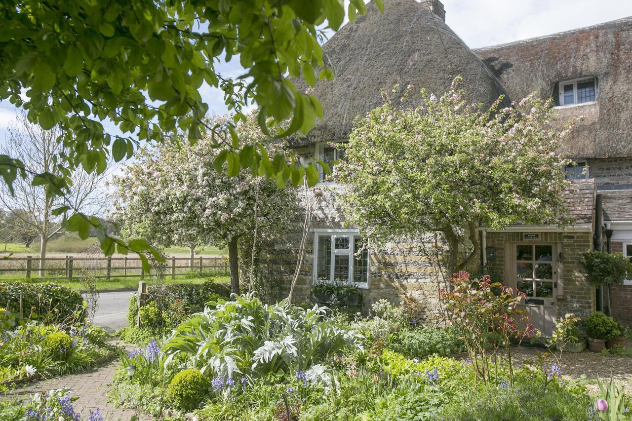Tudor Cottage B&B Frampton 도체스터도싯 외부 사진
